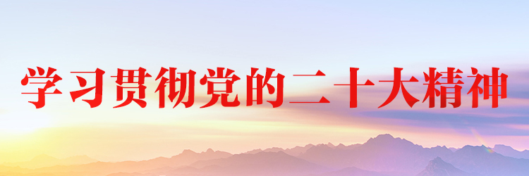 學(xué)習貫徹黨的二十大精神專(zhuān)題網(wǎng)站